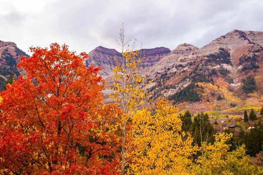 Log Cabin On The Stream Sundance, Utah Luaran gambar